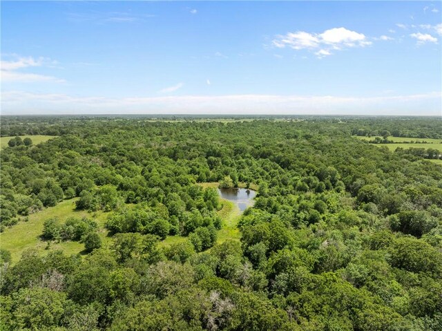 200.8AC Dawkins Rd, Normangee, TX 77871