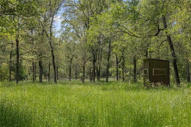 200.8AC Dawkins Rd, Normangee, TX 77871