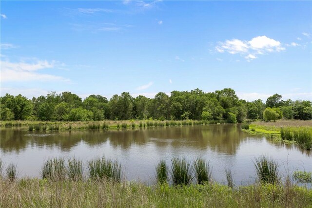 200.8AC Dawkins Rd, Normangee, TX 77871
