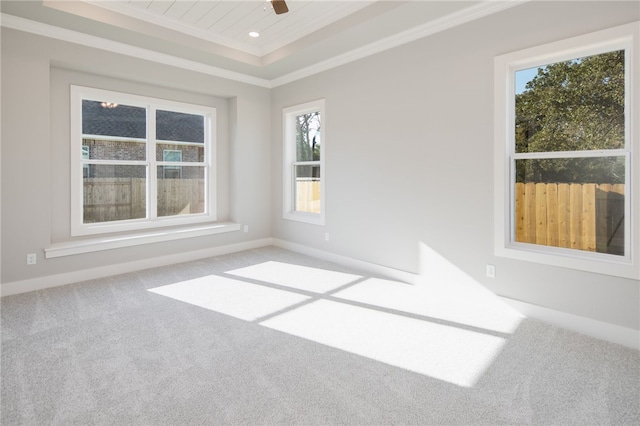 spare room with a raised ceiling, crown molding, and carpet