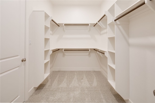 spacious closet featuring light carpet