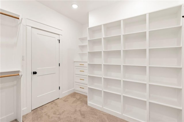 walk in closet with light carpet