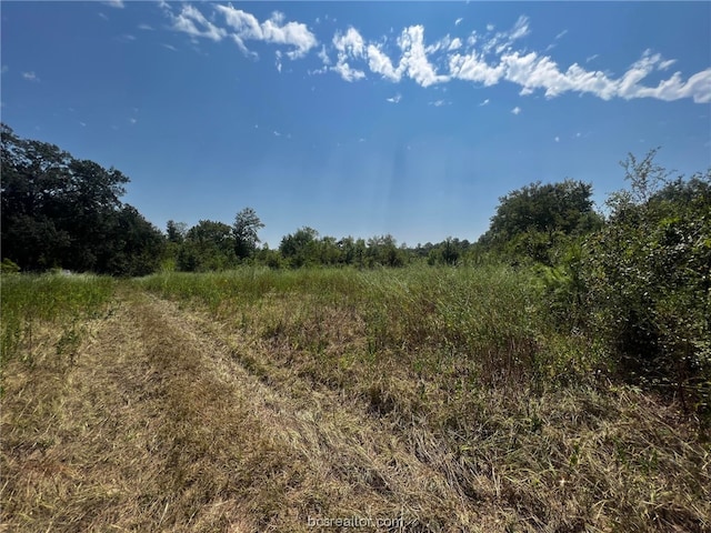 Listing photo 2 for TBD30ACRES Fm 1486, Richards TX 77873