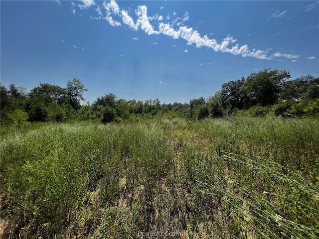 TBD30ACRES Fm 1486, Richards TX, 77873 land for sale