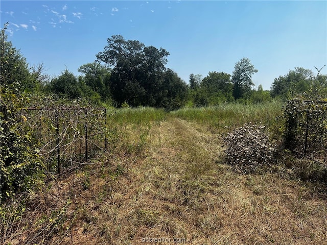 Listing photo 3 for TBD30ACRES Fm 1486, Richards TX 77873