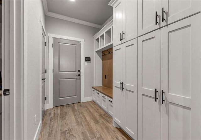 mudroom featuring crown molding and light wood-type flooring