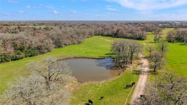 Listing photo 3 for 12548 Democrat Rd, Bryan TX 77808