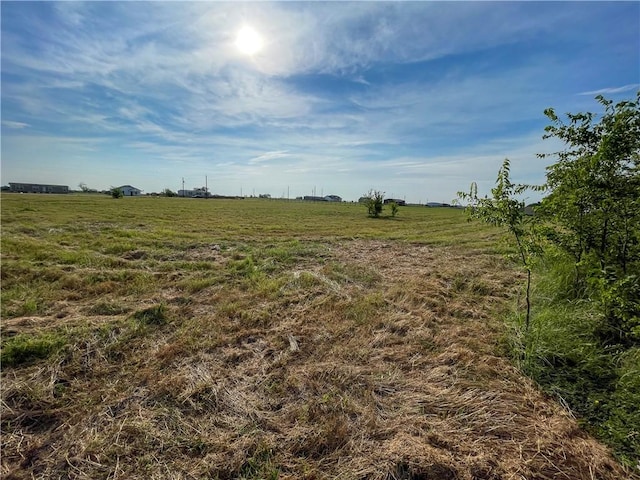 7400 Catalina Hill Ct, Bryan, TX 77808 - photo 7