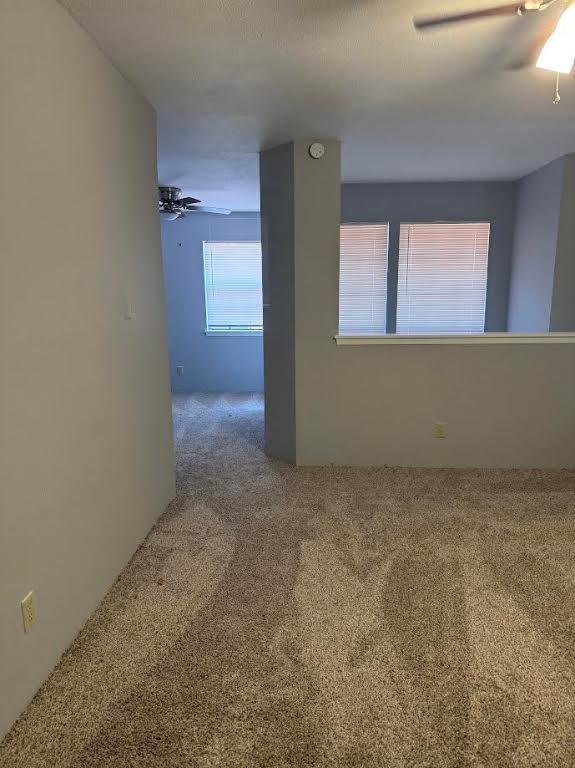 empty room with ceiling fan and carpet floors