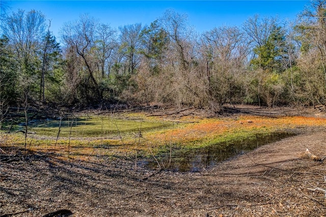 6196 Fm 975, Caldwell, TX 77836 - exterior space