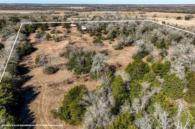 6196 Fm 975, Caldwell, TX 77836 - drone / aerial view featuring a rural view