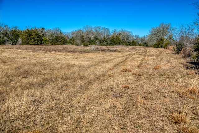 6196 Fm 975, Caldwell, TX 77836 - view of local wilderness with a rural view