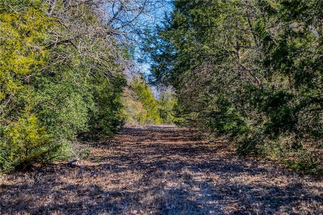 6196 Fm 975, Caldwell, TX 77836 - view of local wilderness