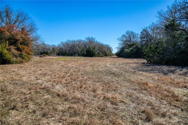 6196 Fm 975, Caldwell, TX 77836 - view of local wilderness featuring a rural view