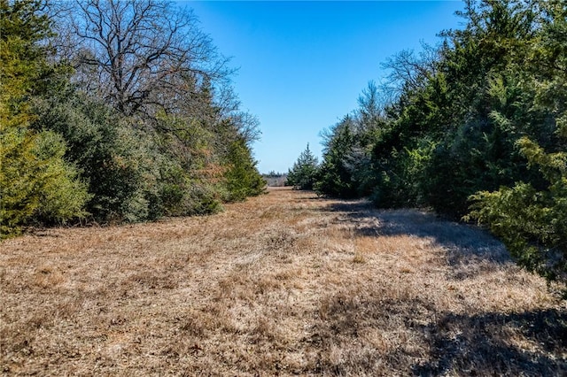 6196 Fm 975, Caldwell, TX 77836 - view of nature