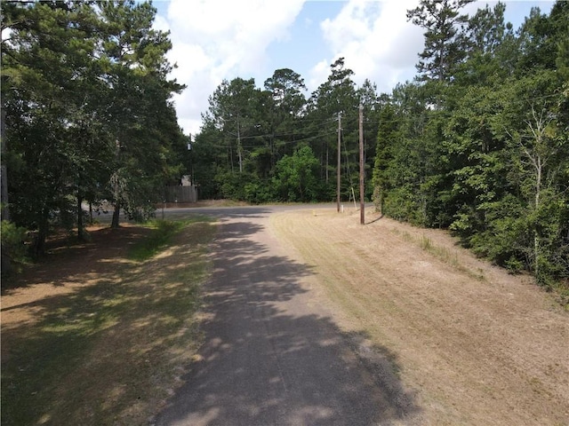 003 Longs Ct, Waller, TX 77484 - photo 1