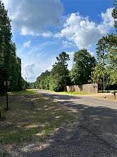 003 Longs Ct, Waller, TX 77484 - photo 5