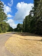 003 Longs Ct, Waller, TX 77484 - photo 2