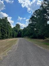 003 Longs Ct, Waller, TX 77484 - photo 4