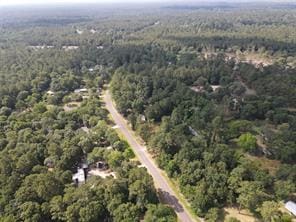 003 Longs Ct, Waller, TX 77484 - photo 6
