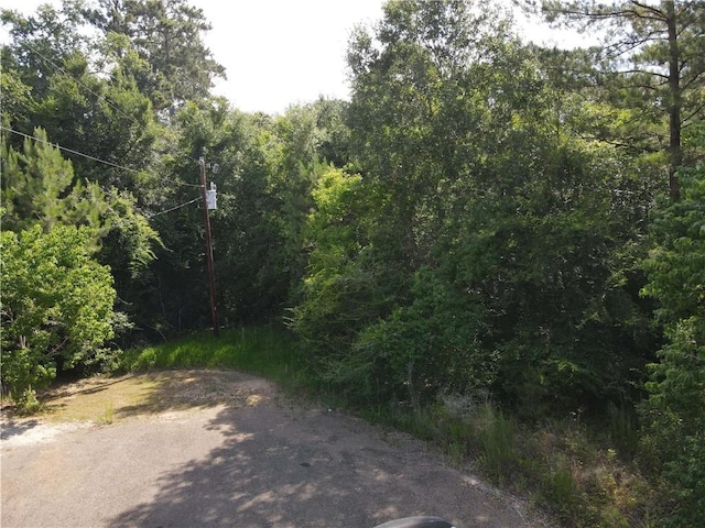 003 Longs Ct, Waller, TX 77484 - photo 3