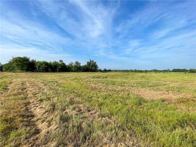 7618 Catalina Hill Ct, Bryan, TX 77808 - photo 6