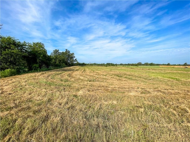 7618 Catalina Hill Ct, Bryan, TX 77808 - photo 3