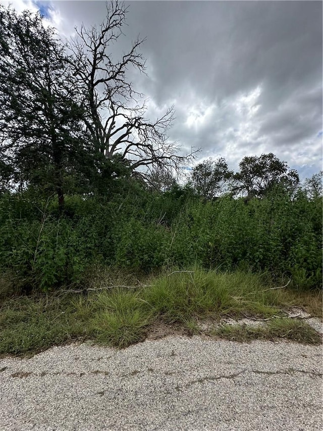 Listing photo 3 for 0 W Wharton, Calvert TX 77837