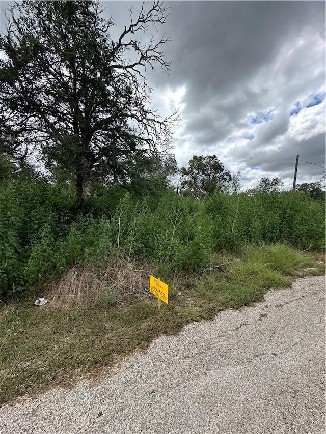 Listing photo 2 for 0 W Wharton, Calvert TX 77837