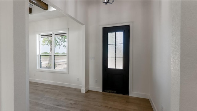 10017 Panther Creek Dr, Iola, TX 77861 - entrance foyer with wood finished floors, healthy amount of natural light, and baseboards