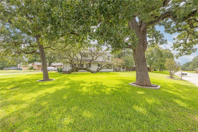 8103 Raintree Dr, College Station, TX 77845 - photo 4