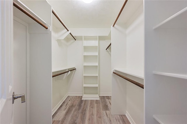 spacious closet featuring light wood-style floors