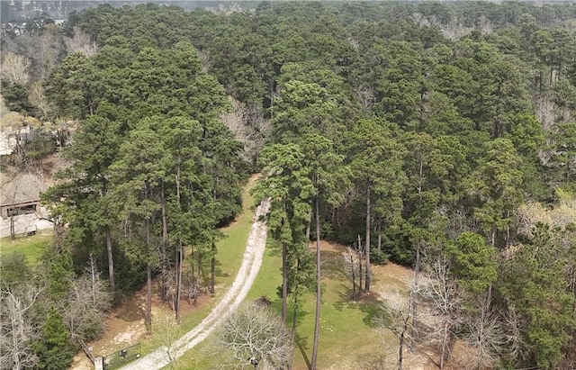 TBD Port Au Prince Court, Montgomery, TX 77316