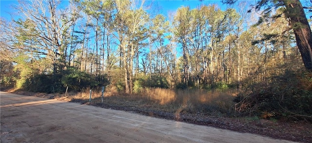 Listing photo 3 for TBD County Road 1655, Grapeland TX 75844