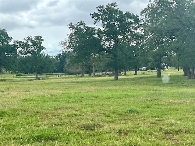 view of yard featuring a rural view