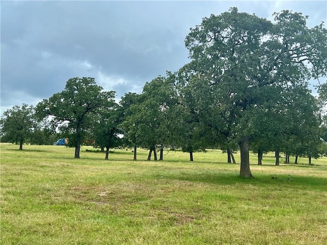 view of nature featuring a rural view