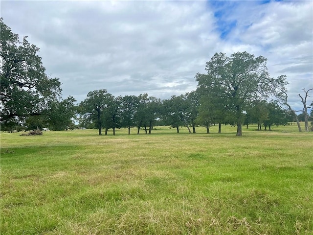 view of yard featuring a rural view