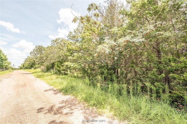 LOT92 Lois Lane St, Somerville, TX 77879 - photo 15
