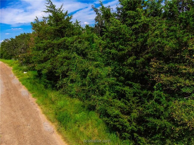 LOT92 Lois Lane St, Somerville, TX 77879 - photo 42