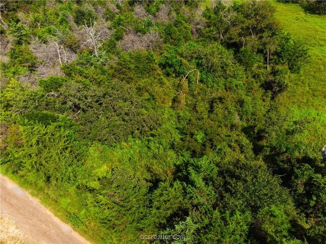 LOT92 Lois Lane St, Somerville, TX 77879 - photo 24