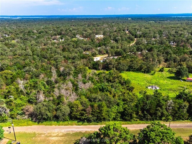LOT92 Lois Lane St, Somerville, TX 77879 - photo 32