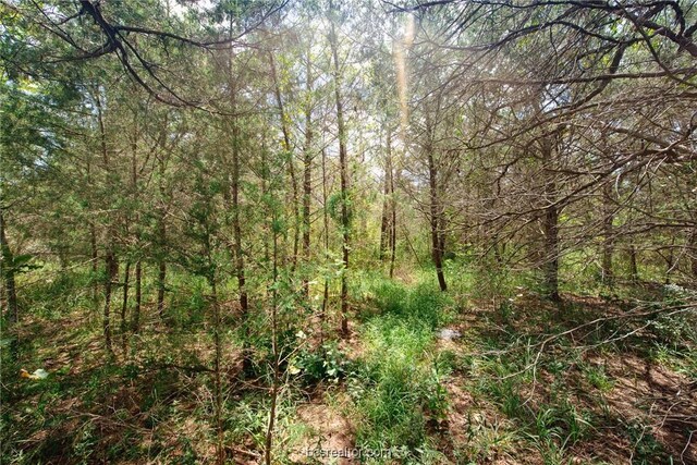 LOT92 Lois Lane St, Somerville, TX 77879 - photo 6
