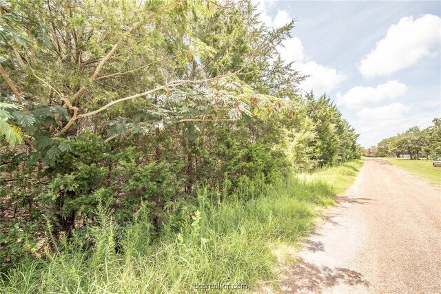 LOT92 Lois Lane St, Somerville, TX 77879 - photo 7