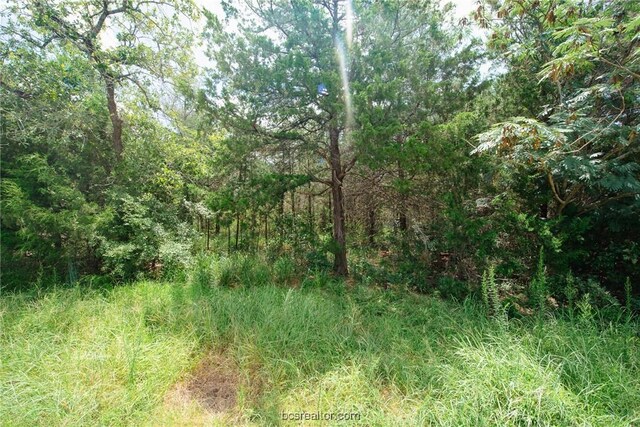 LOT92 Lois Lane St, Somerville, TX 77879 - photo 4