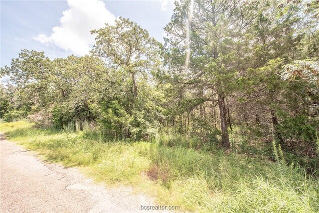 LOT92 Lois Lane St, Somerville, TX 77879 - photo 12