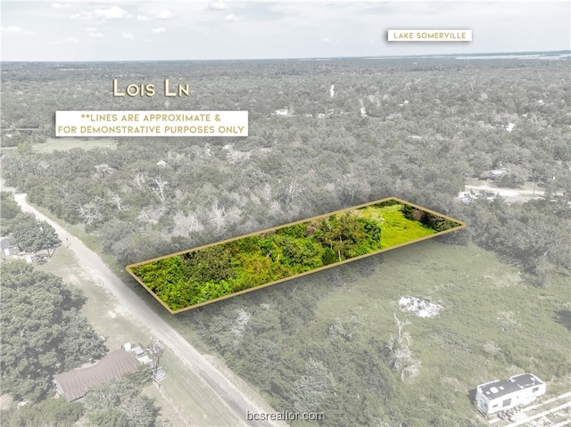 LOT92 Lois Lane St, Somerville TX, 77879 land for sale