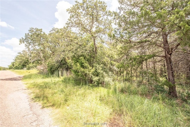 Listing photo 2 for LOT92 Lois Lane St, Somerville TX 77879