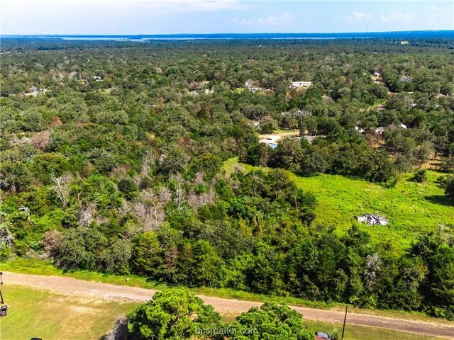 LOT92 Lois Lane St, Somerville, TX 77879 - photo 31