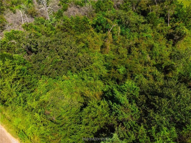 LOT92 Lois Lane St, Somerville, TX 77879 - photo 33