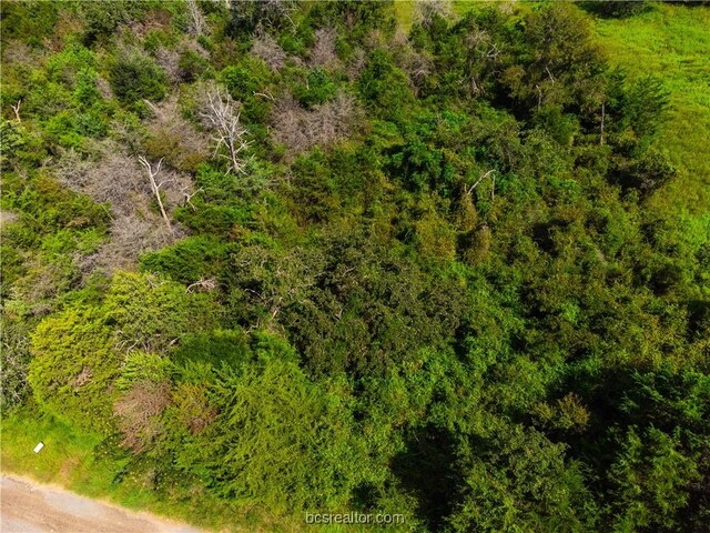LOT92 Lois Lane St, Somerville, TX 77879 - photo 20